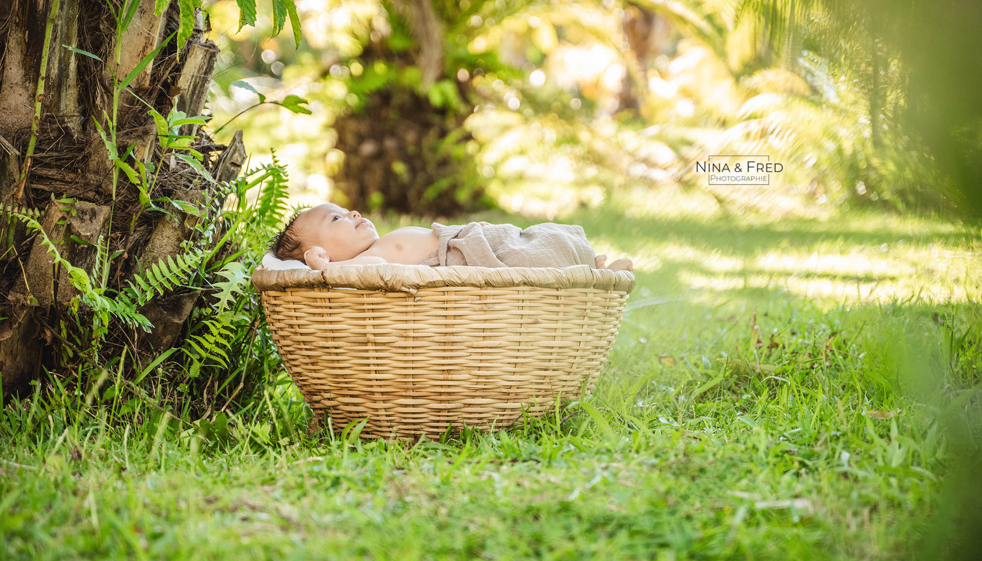 seance photo naissance H&N&D 974